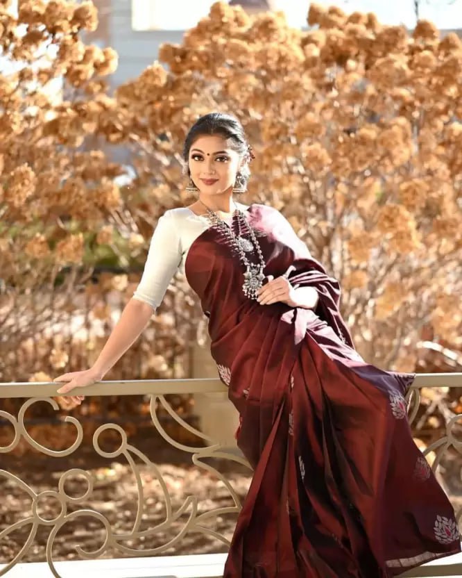 Coffee Soft Lichi Silk Jacquard Border Saree