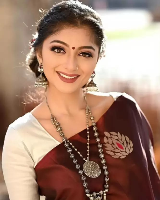 Coffee Soft Lichi Silk Jacquard Border Saree